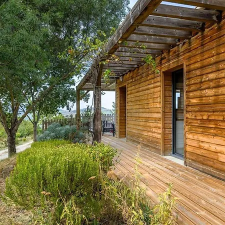 Et Piscine Privée Sur Domaine Viticole *